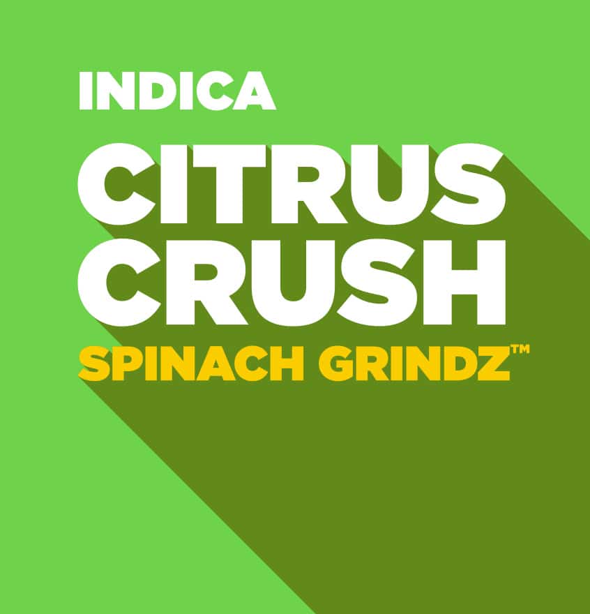 Citrus Crush - Spinach Grindz - Image 2