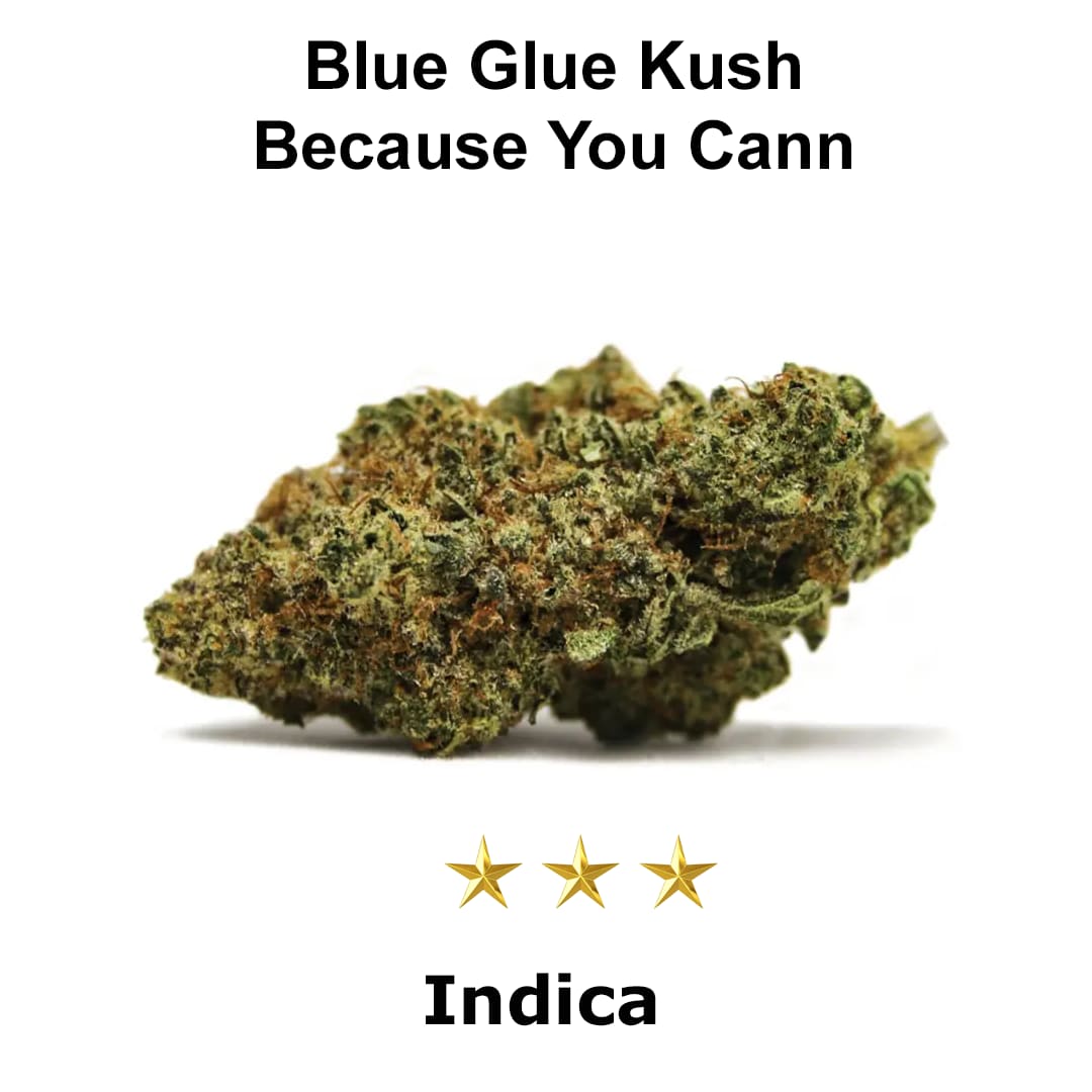 Blue Glue Kush - Because You Cann