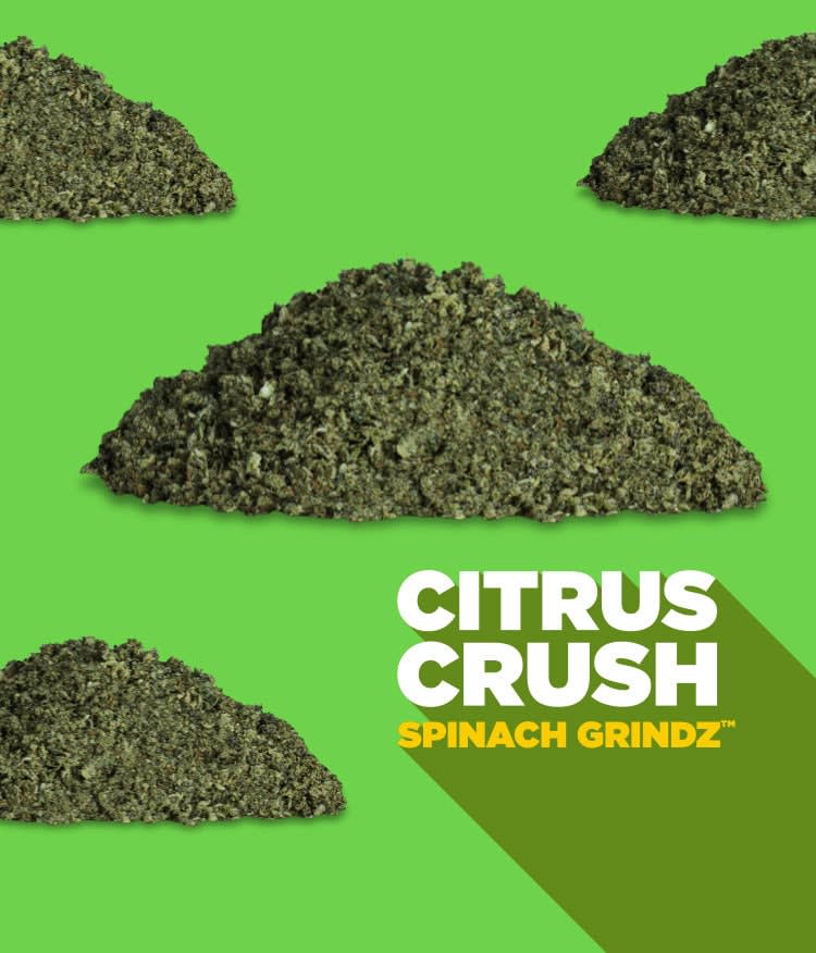 Citrus Crush - Spinach Grindz