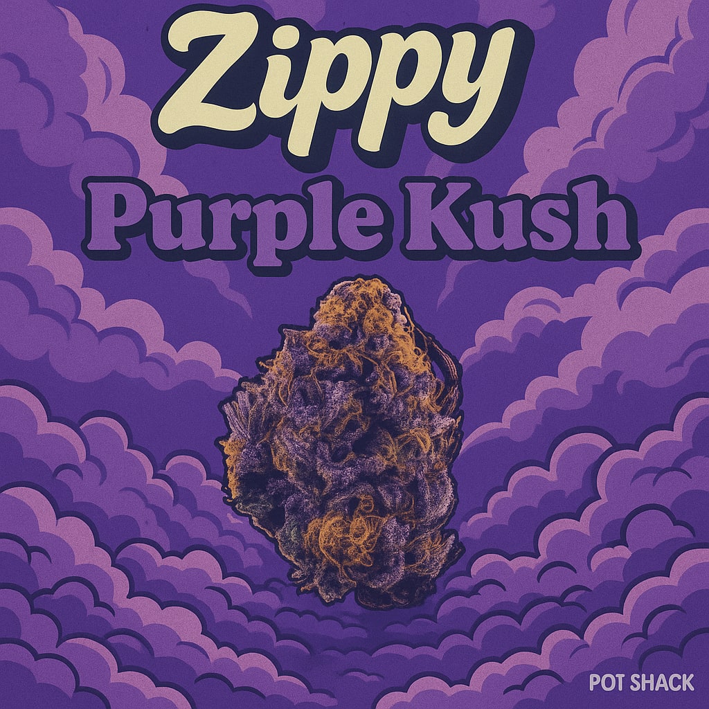 Purple Kush - Zippy | The Pot Shack