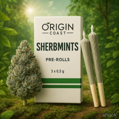 Sherbmints pr - Origin Coast